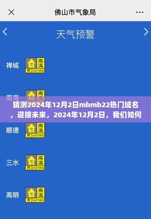 猜测2024年12月2日MBMB22热门域名，成为未来热门域名的预测大师。