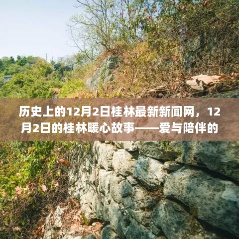 12月2日桂林暖心故事，爱与陪伴的温馨日常历史回顾