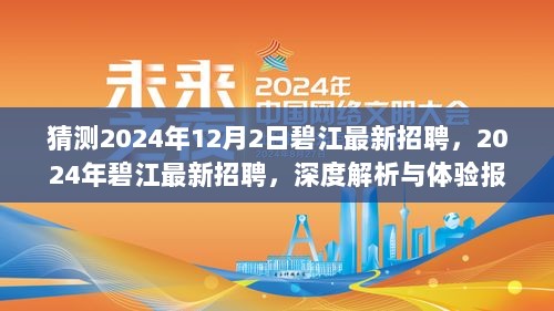 2024年碧江最新招聘深度解析与体验报告