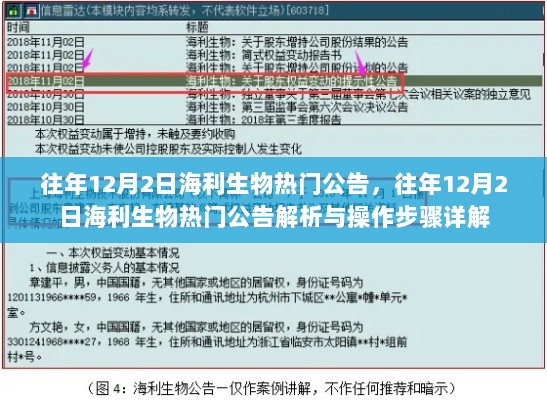 往年12月2日海利生物热门公告解析及操作步骤详解