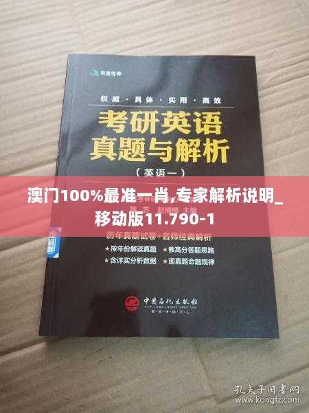 澳门100%最准一肖,专家解析说明_移动版11.790-1