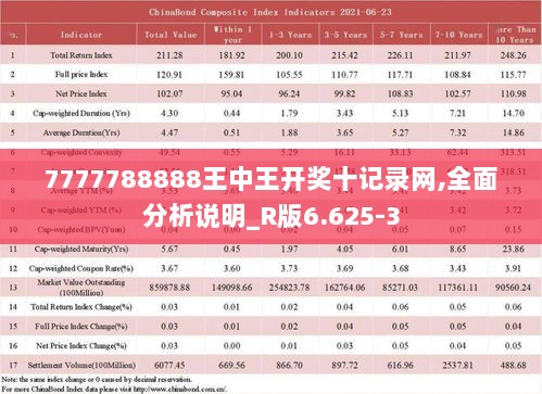 7777788888王中王开奖十记录网,全面分析说明_R版6.625-3