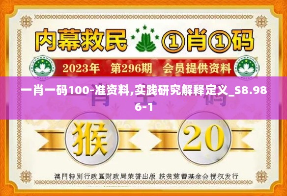 一肖一码100-准资料,实践研究解释定义_S8.986-1