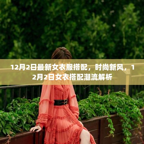 12月2日女衣搭配潮流解析，时尚新风，最新女装搭配指南