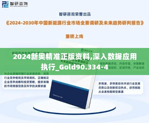 2024新奥精准正版资料,深入数据应用执行_Gold90.334-4