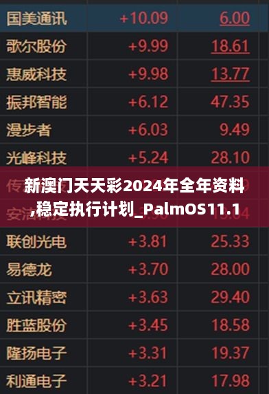 新澳门天天彩2024年全年资料,稳定执行计划_PalmOS11.199-7