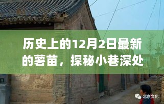 历史上的12月2日，探秘小巷深处与最新薯苗的邂逅