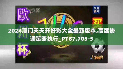 2024澳门天天开好彩大全最新版本,高度协调策略执行_PT87.705-5