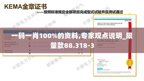 一码一肖100%的资料,专家观点说明_限量款88.318-3