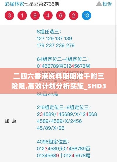 二四六香港资料期期准千附三险阻,高效计划分析实施_SHD30.480-9