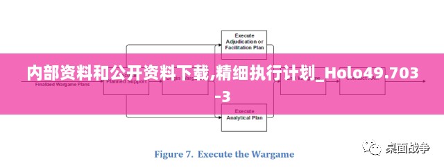 内部资料和公开资料下载,精细执行计划_Holo49.703-3