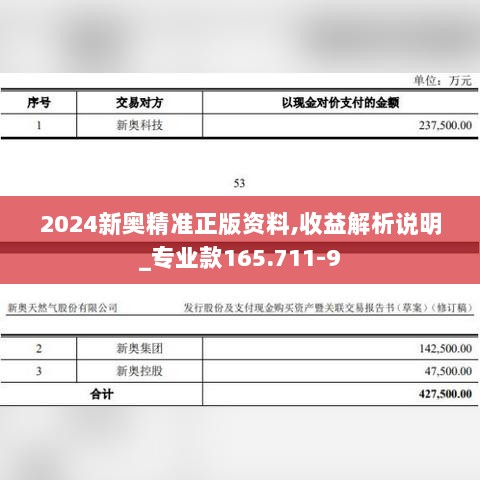 2024新奥精准正版资料,收益解析说明_专业款165.711-9