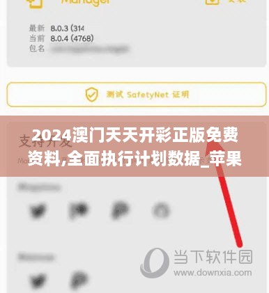 2024澳门天天开彩正版免费资料,全面执行计划数据_苹果版88.676-8