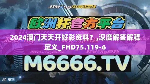 2024澳门天天开好彩资料？,深度解答解释定义_FHD75.119-6