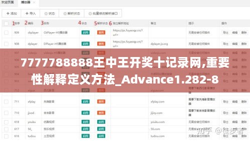 7777788888王中王开奖十记录网,重要性解释定义方法_Advance1.282-8