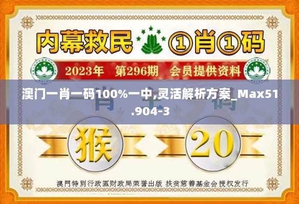 澳门一肖一码100%一中,灵活解析方案_Max51.904-3