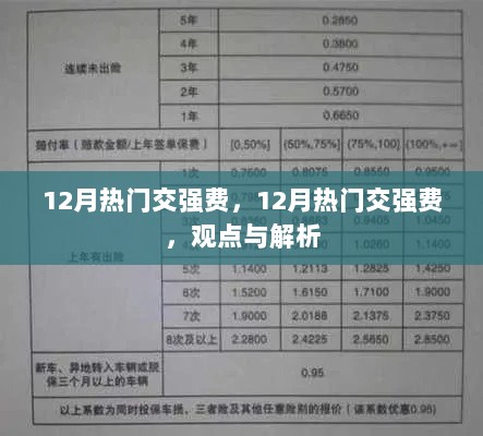 12月热门交强费观点与解析