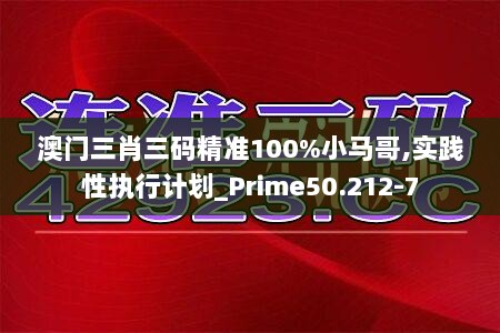 澳门三肖三码精准100%小马哥,实践性执行计划_Prime50.212-7