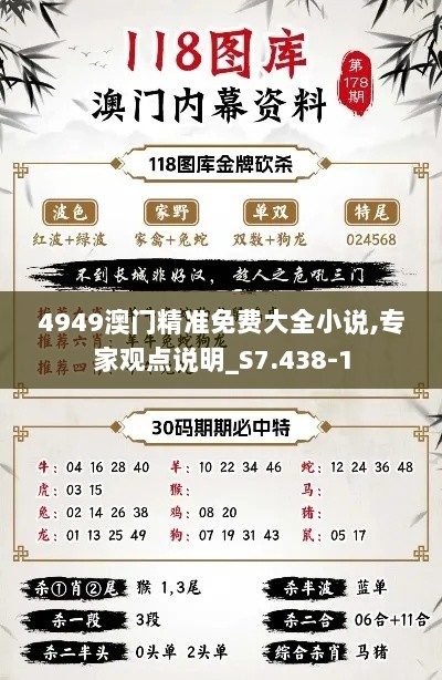 4949澳门精准免费大全小说,专家观点说明_S7.438-1