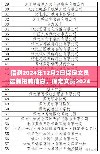 2024年12月2日保定文员最新招聘信息深度解析与体验报告