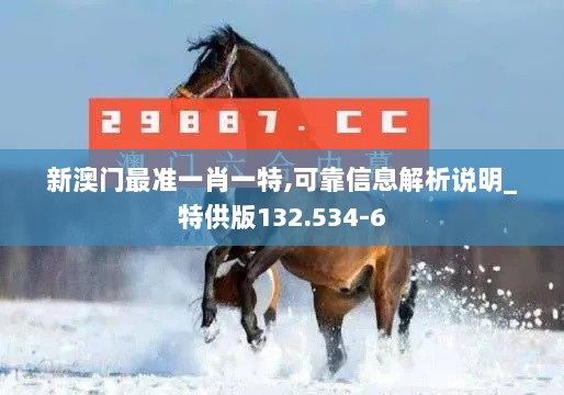 新澳门最准一肖一特,可靠信息解析说明_特供版132.534-6