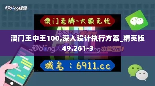 澳门王中王100,深入设计执行方案_精英版49.261-3