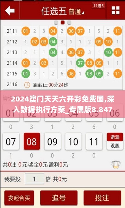 2024澳门天天六开彩免费图,深入数据执行方案_专属版8.847-8