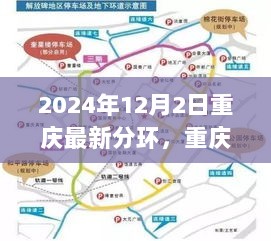 2024年12月4日 第29页