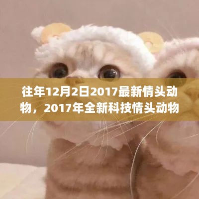 2017年12月2日科技与动物情头，生活与科技的完美融合