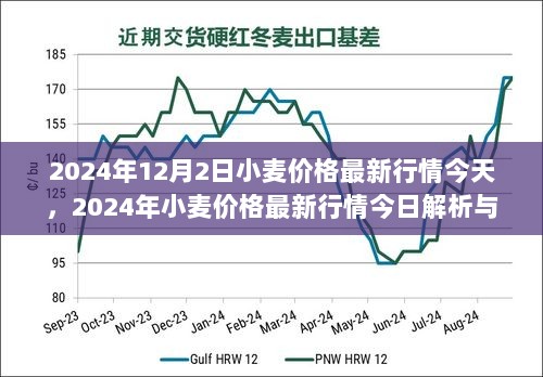 2024年12月2日小麦价格最新行情解析与评测