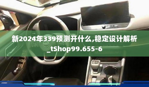 新2024年339预测开什么,稳定设计解析_tShop99.655-6