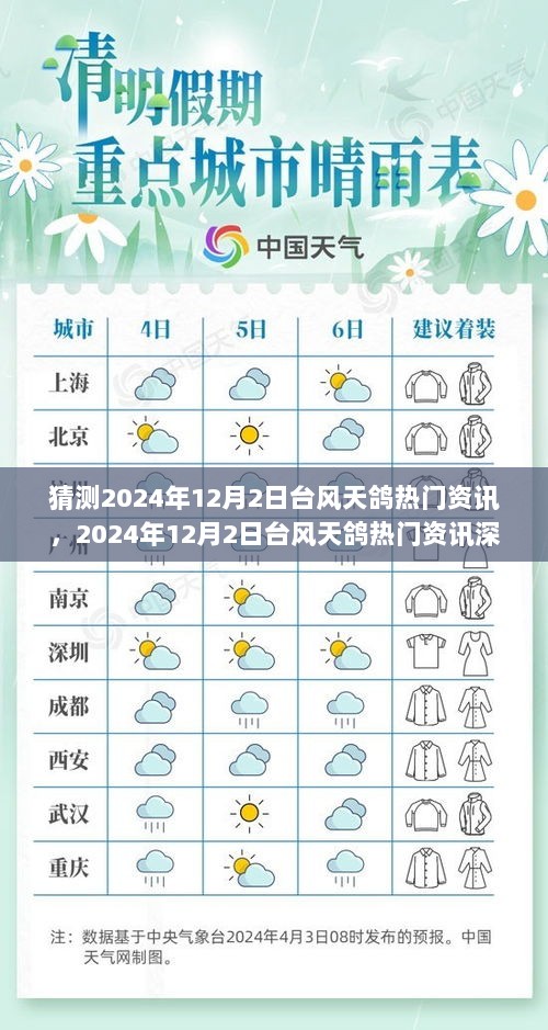 2024年12月2日台风天鸽热门资讯深度解析与评测