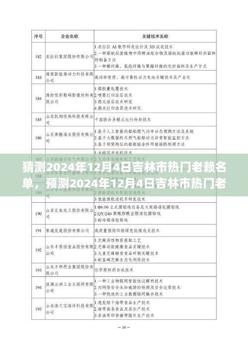 2024年12月4日吉林市热门老赖名单预测步骤指南