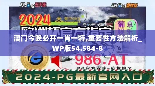 澳门今晚必开一肖一特,重要性方法解析_WP版54.584-8