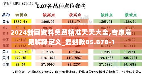 2024新奥资料免费精准天天大全,专家意见解释定义_复刻款85.878-1