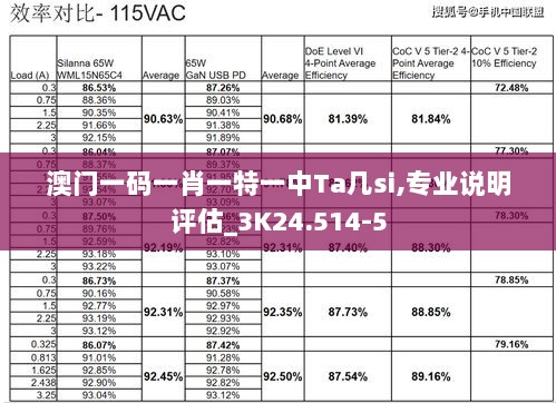 澳门一码一肖一特一中Ta几si,专业说明评估_3K24.514-5