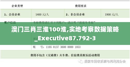 澳门三肖三淮100淮,实地考察数据策略_Executive87.792-3