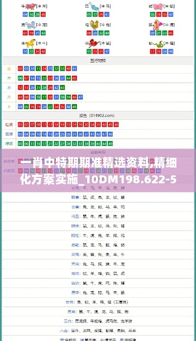 一肖中特期期准精选资料,精细化方案实施_10DM198.622-5