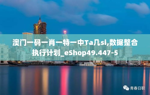 澳门一码一肖一特一中Ta几si,数据整合执行计划_eShop49.447-5