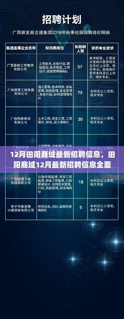 12月田阳商域最新招聘信息全面解析