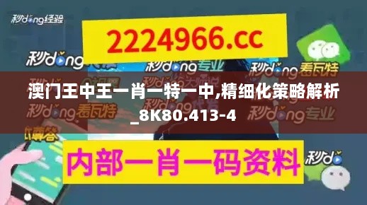 澳门王中王一肖一特一中,精细化策略解析_8K80.413-4