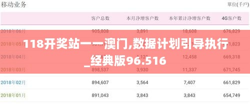 118开奖站一一澳门,数据计划引导执行_经典版96.516