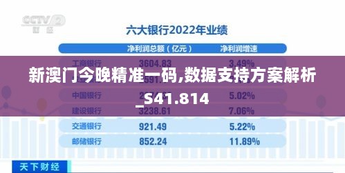 新澳门今晚精准一码,数据支持方案解析_S41.814