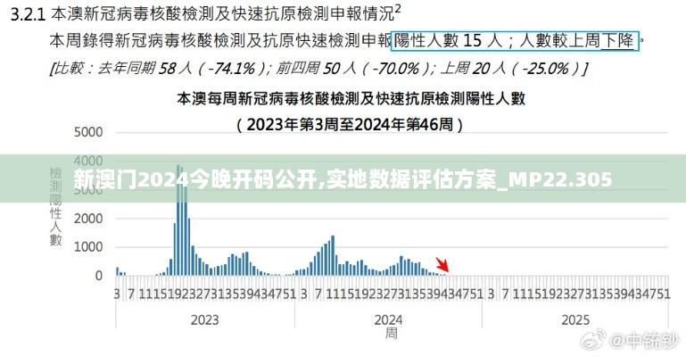 新澳门2024今晚开码公开,实地数据评估方案_MP22.305