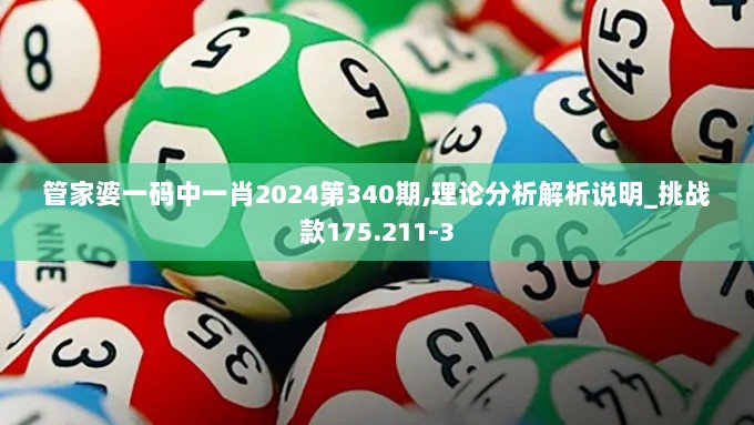 管家婆一码中一肖2024第340期,理论分析解析说明_挑战款175.211-3