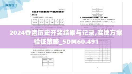 2024香港历史开奖结果与记录,实地方案验证策略_5DM60.491