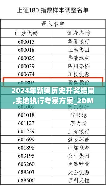 2024年新奥历史开奖结果,实地执行考察方案_2DM7.466