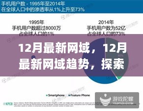 12月最新网域趋势，探索互联网脉搏与未来方向