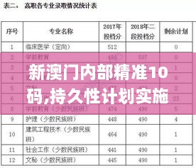 新澳门内部精准10码,持久性计划实施_4K版34.688