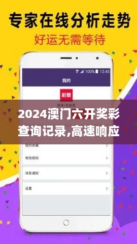 2024澳门六开奖彩查询记录,高速响应执行计划_R版1.571